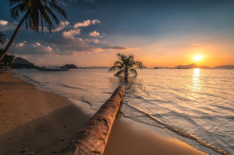 entry photosphoto preview