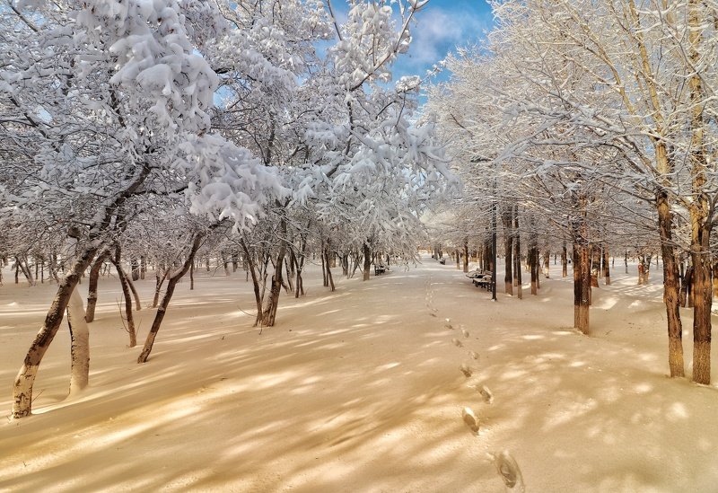 Зимова Казка... фото превью