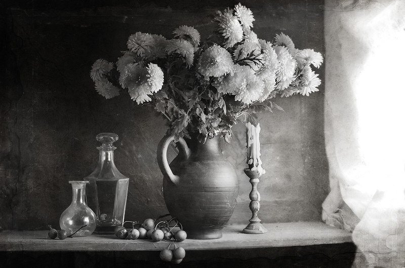 still life тихая жизньphoto preview