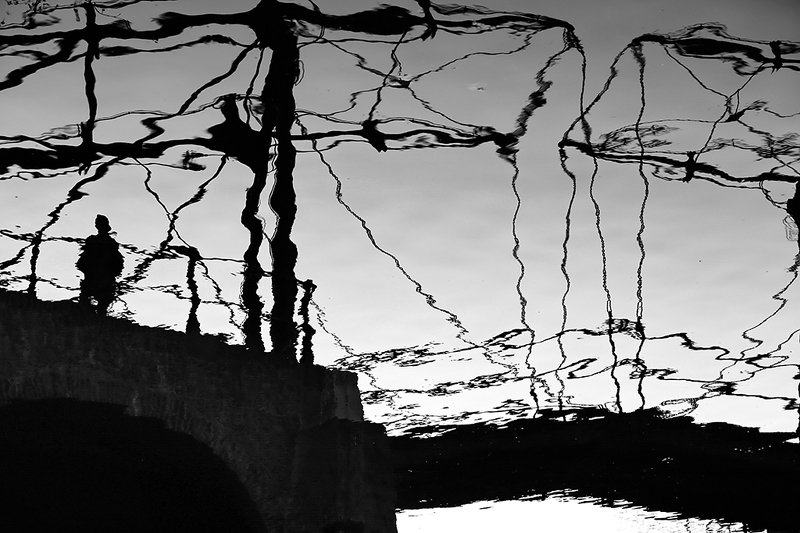 Rivalry or Как встретились Иван Иваныч с Иваном Никифоровичемphoto preview