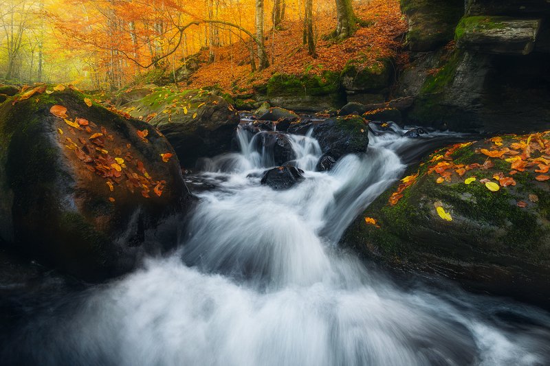 Crossing the Narogphoto preview