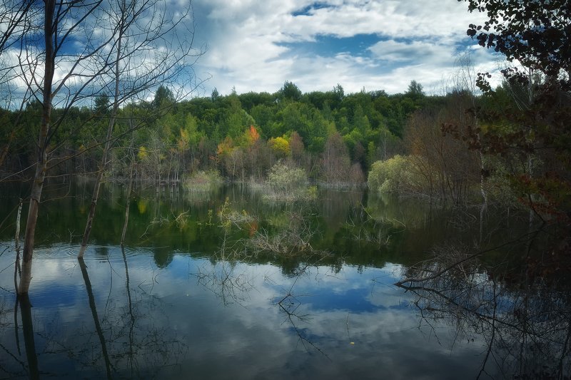 лес, природа, пейзаж, осень, подмосковье Самое начало осениphoto preview