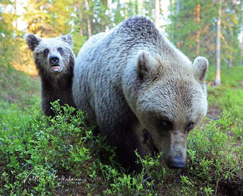 Так это ты не заплатил сынишке за фотосессию? фото превью