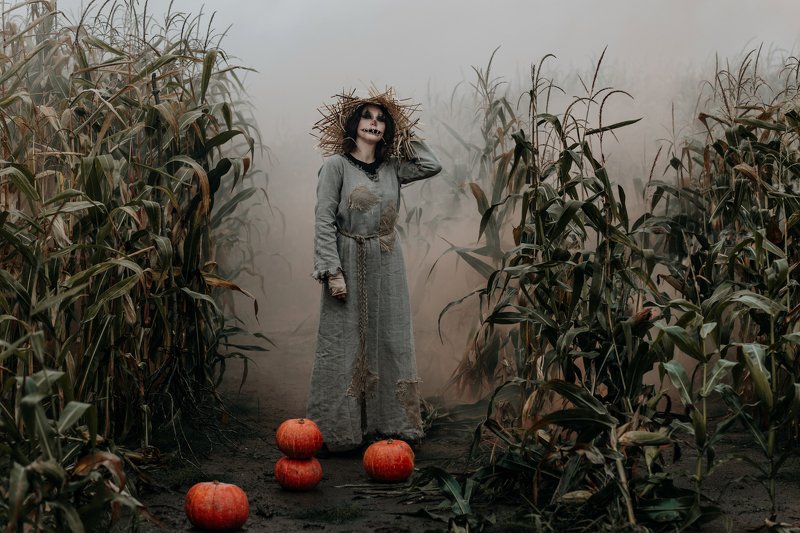 halloween The Scarecrowphoto preview