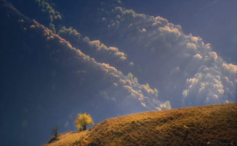 В сердце осени.photo preview