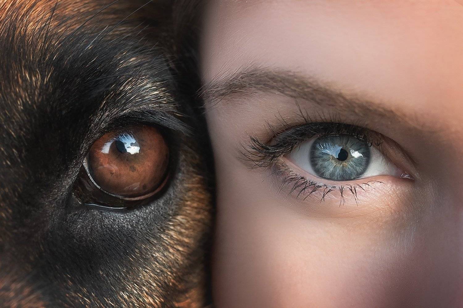 , Людмила Богуш