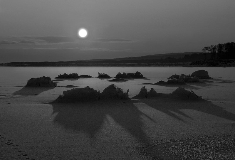 зима, пейзаж, ч/б Ведьмино кольцоphoto preview