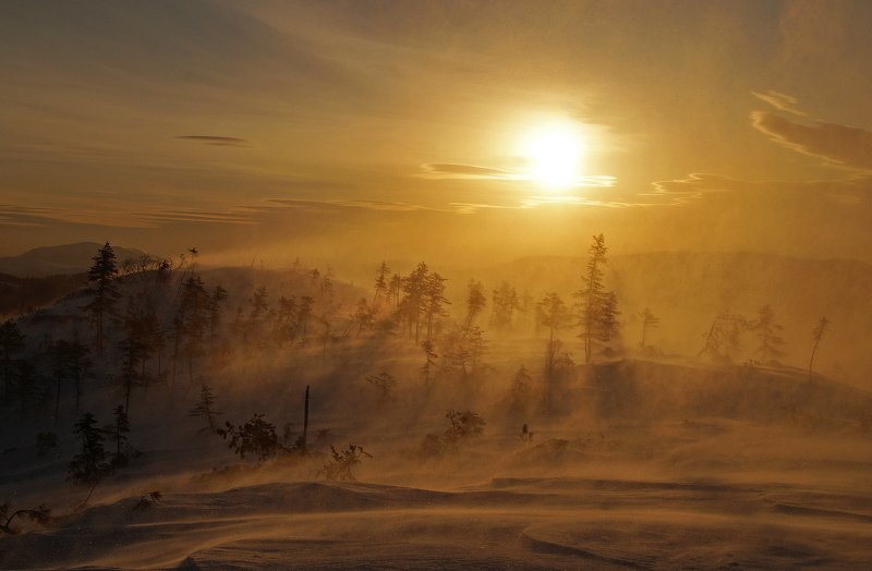 зима, пейзаж Метельphoto preview