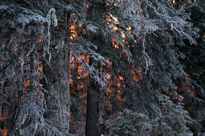 зима, пейзаж Изморозьphoto preview