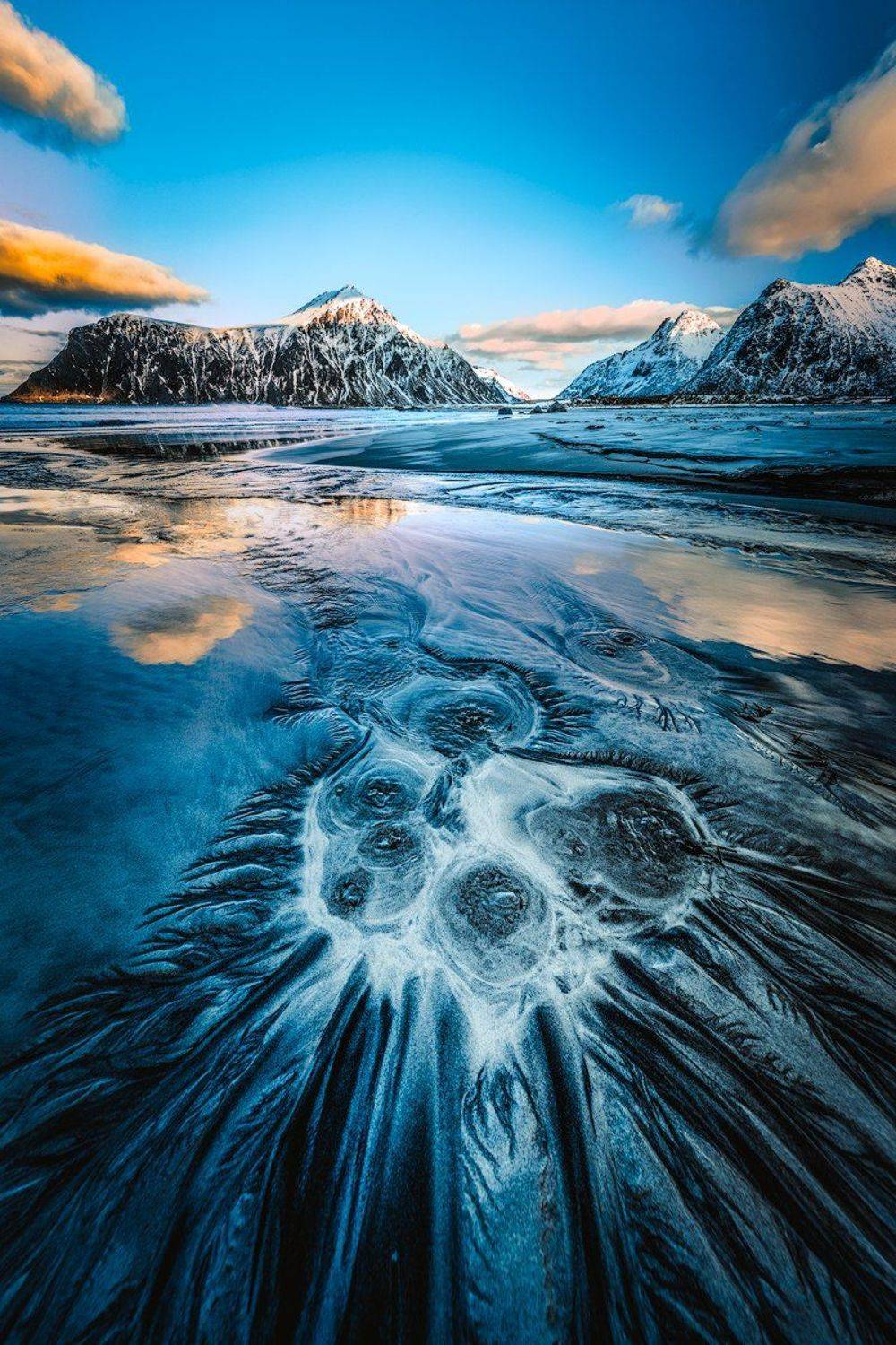 The North || Север. Автор: Тодор Божков , Тодор Божков