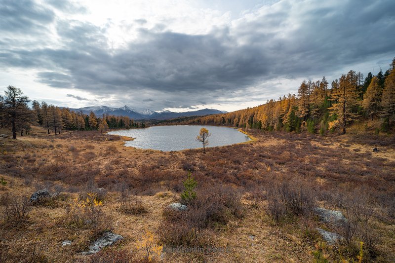 Киделю (III)photo preview