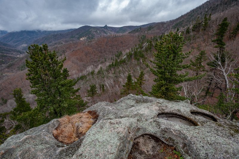 Nature, Mountain, Landscape, Forest, Tree, Scenics, Outdoors, Rock - Object, Summer, Mountain Range, Mountain Peak, Sky, Valley, Beauty In Nature, Hill, Pine Tree, Cloud - Sky, Travel, Woodland, Hiking Следы Драконовphoto preview