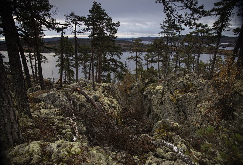 швеция На диких берегахphoto preview