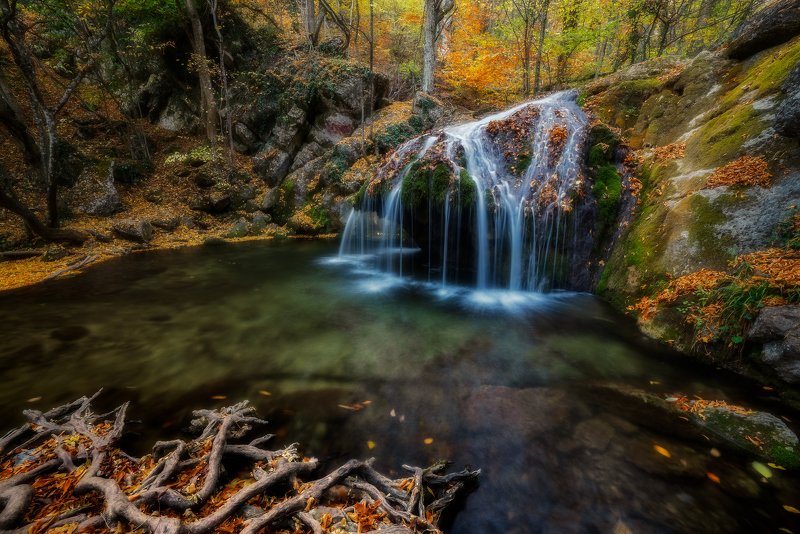 осень Жаждаphoto preview