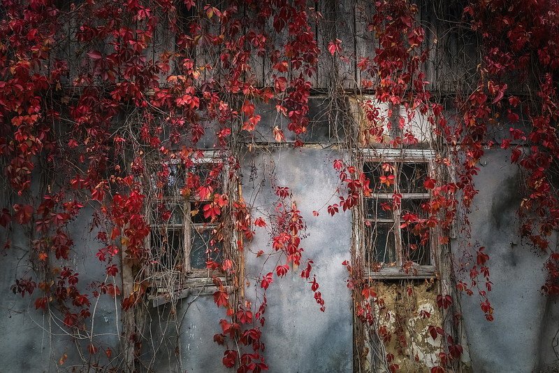 Тепло души осталось там...photo preview