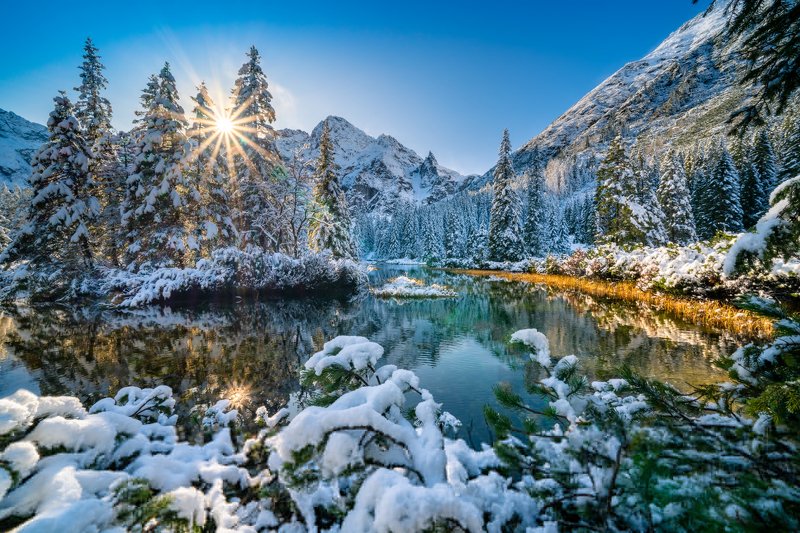 landscape, stream, mountains, morskie oko, czarny staw zakopane, poland, sun, green, tatry, view, trees, niebo, water, today over the fish streamphoto preview