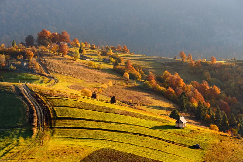 Тёплый свет золотой осениphoto preview