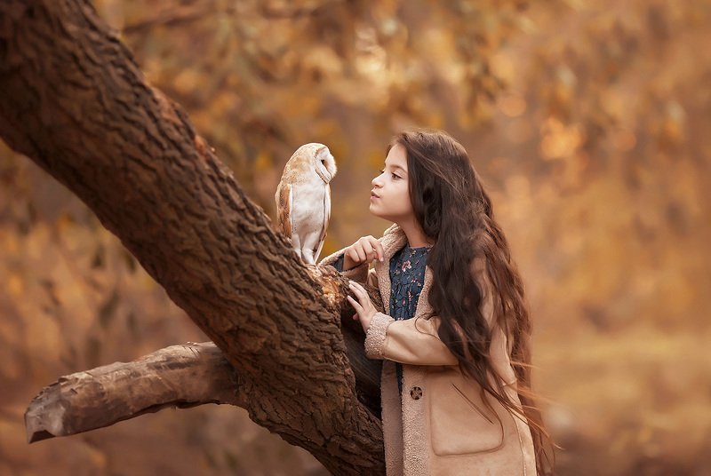 Я соваphoto preview