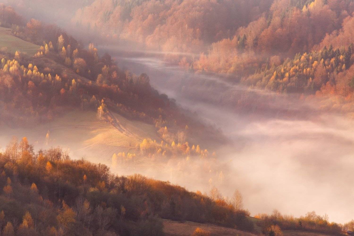 О геометрии гор и тумана. Автор: Вейзе Максим горы, карпаты, октябрь, осень, рассвет, туман, украина, утро, Вейзе Максим