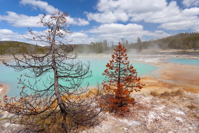Yellowstone National Park, USAphoto preview