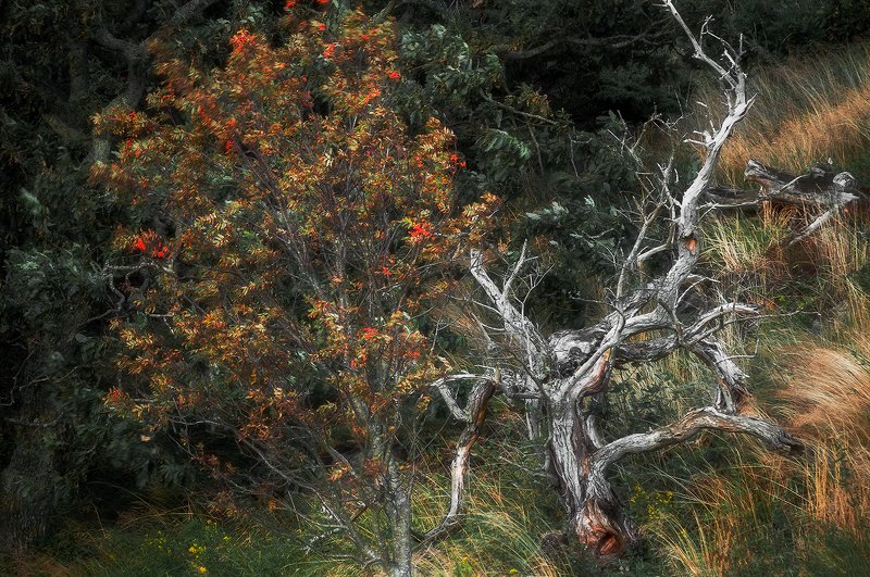 Old and Newphoto preview