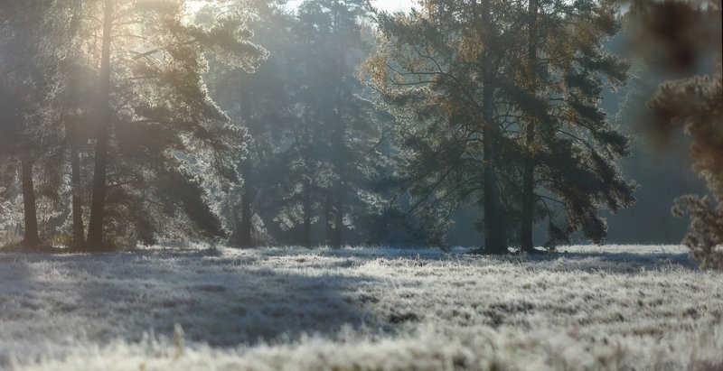 павловскийпарк, павловск, рассвет, павловский парк Окошко в сказку)photo preview
