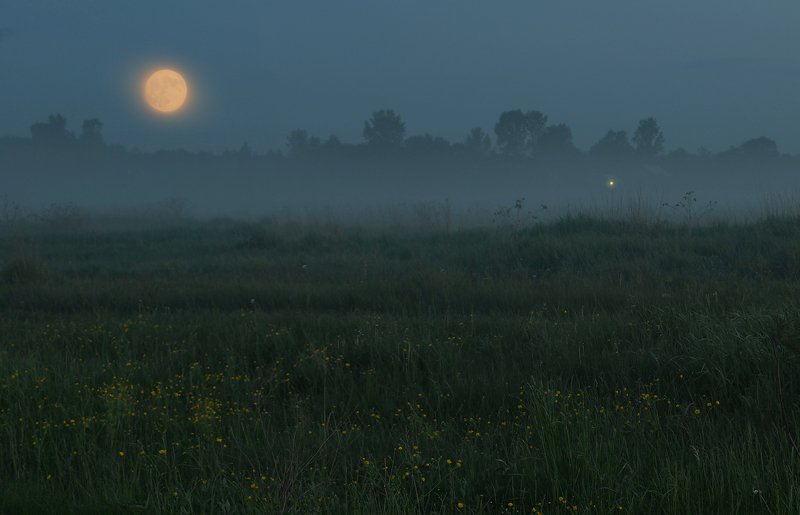 Полнолуние... фото превью