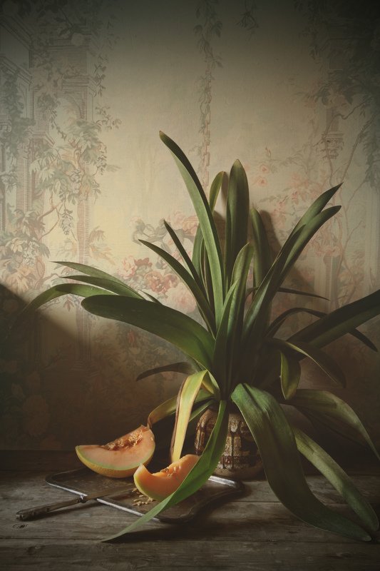 Still life with melonphoto preview