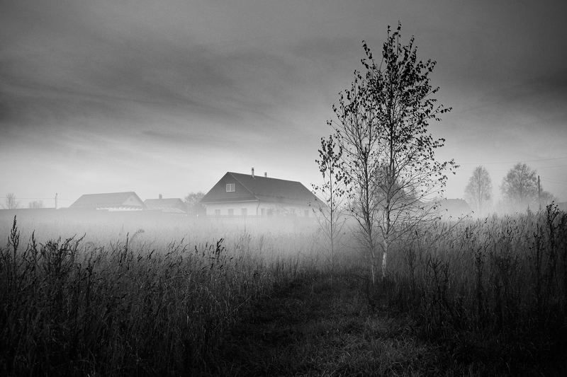 Боровицаphoto preview