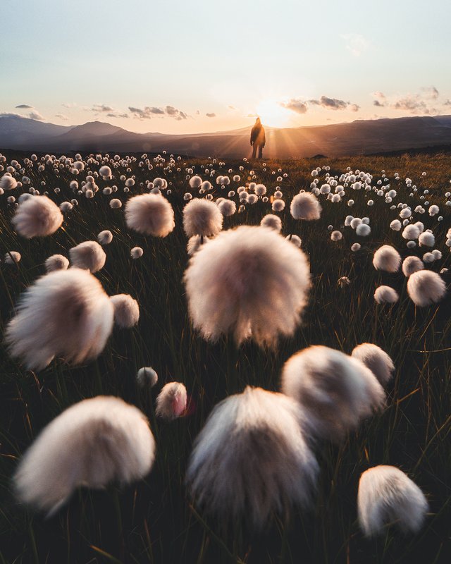 Хабиб и его команда в  папахахphoto preview