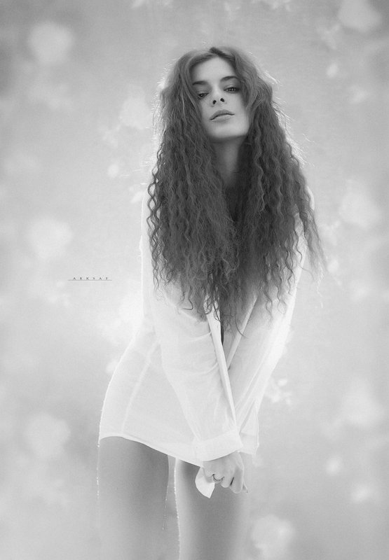 arksaf, safark, arks ***photo preview