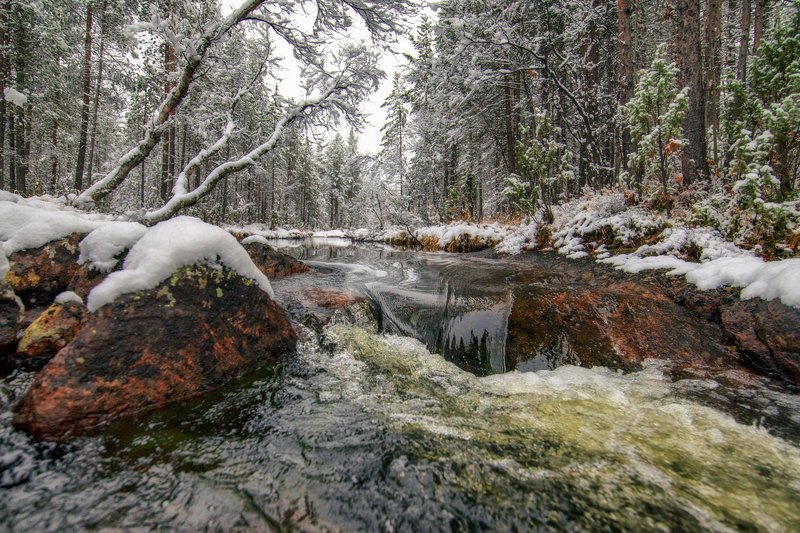 Лесной ручейphoto preview