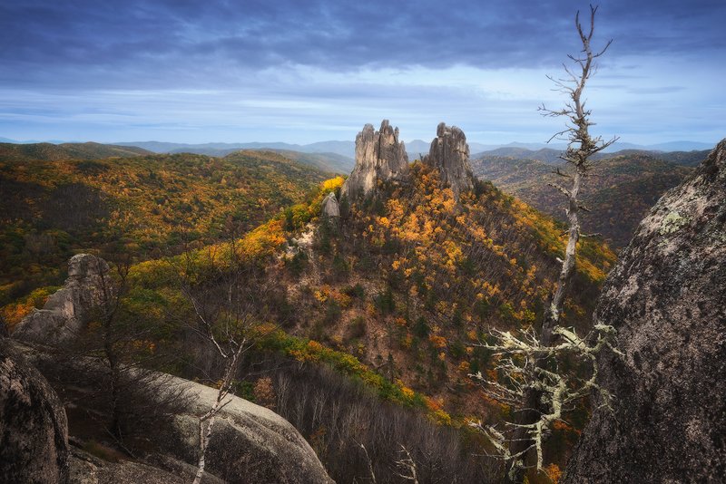 рассвет утро осень горы деревья парк драконов приморский край россия дмитрий подкопаев nikon ,,Утро в парке драконов,,photo preview