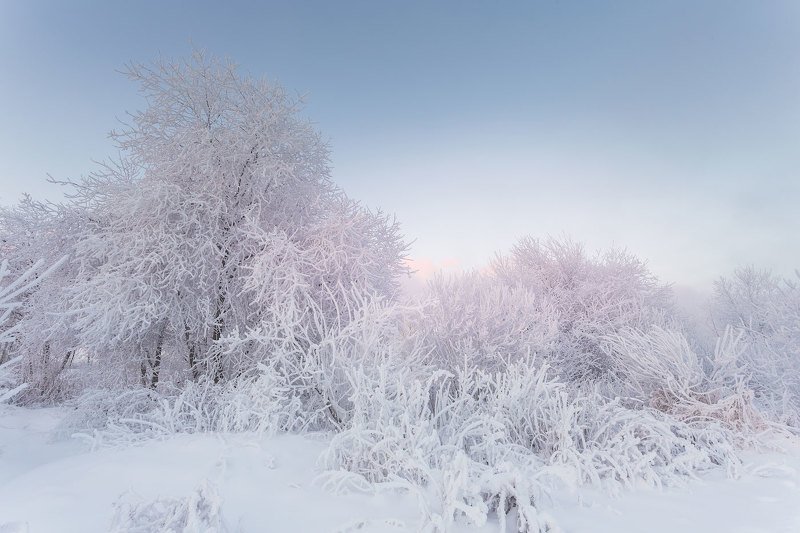 Холодphoto preview