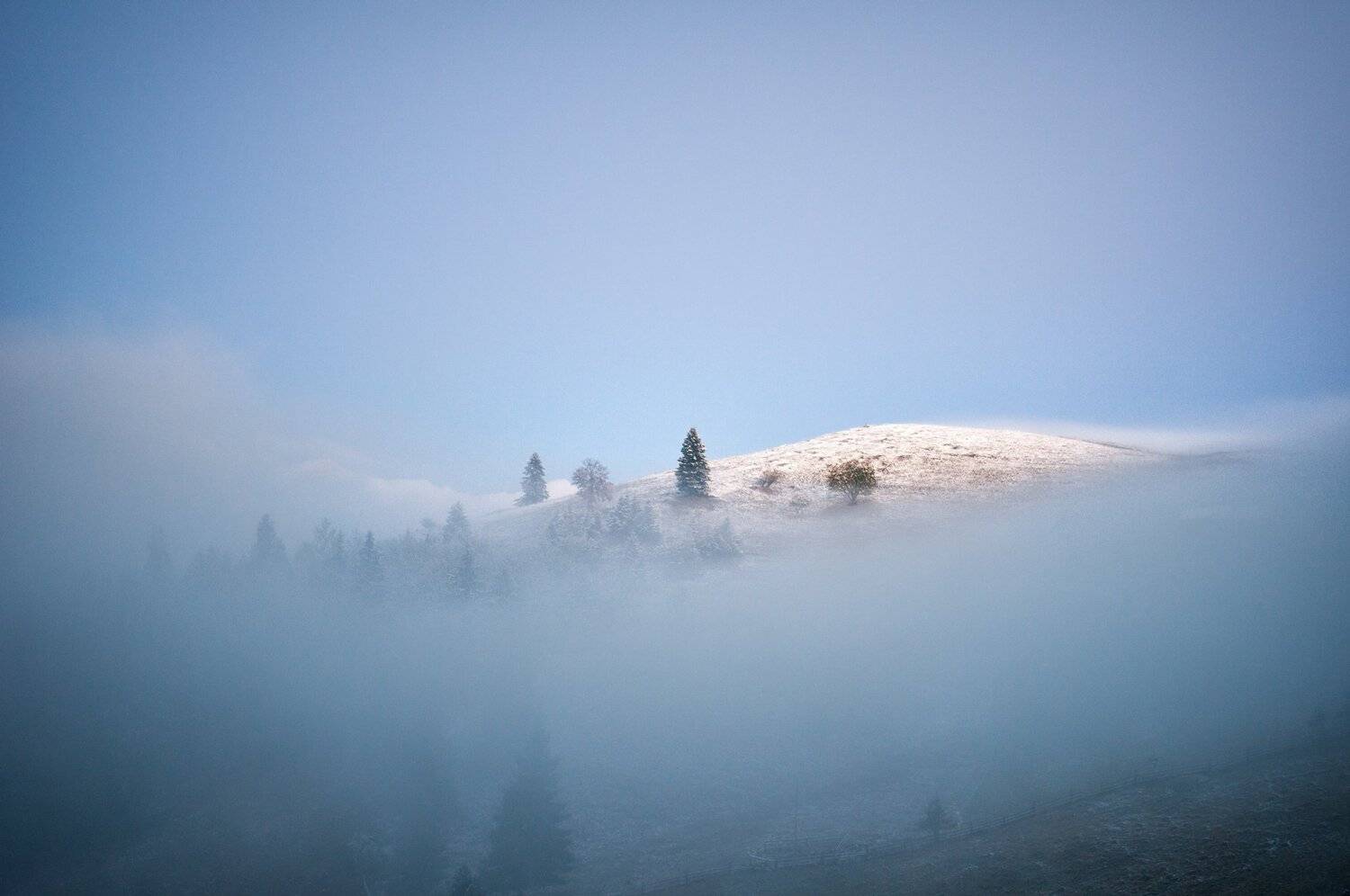 Шелест утренних звёзд. Автор: Вадим , Вадим