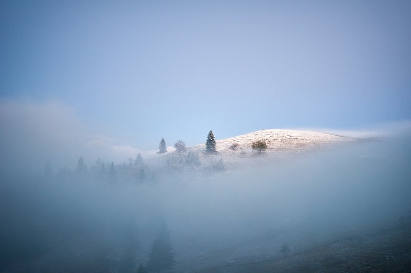 Шелест утренних звёздphoto preview