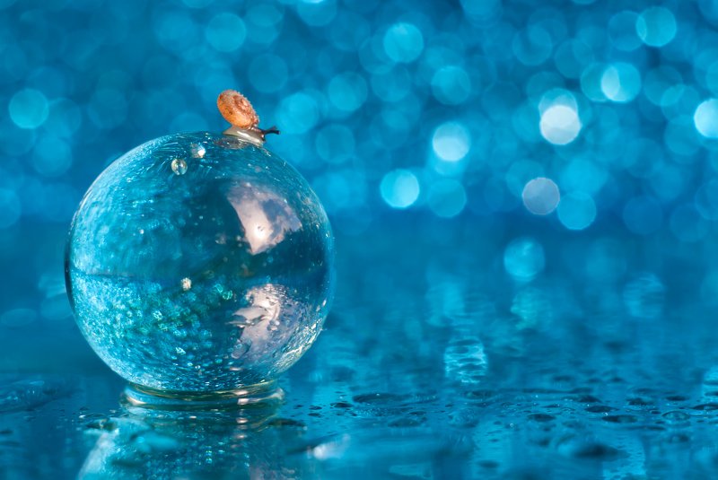 макро улитка шар голубой В голубых тонахphoto preview