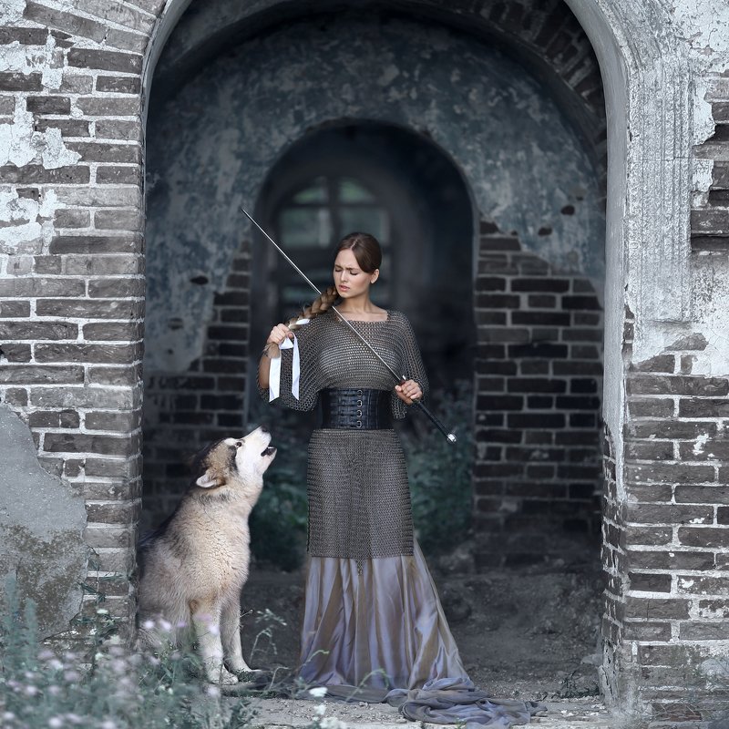 замок, меч, кольчуга, маламут, аляскинский маламут, девушка в кольчуге, девушка с мечом, отрезать косу, собака воет, война, на войну, перед боем photo preview