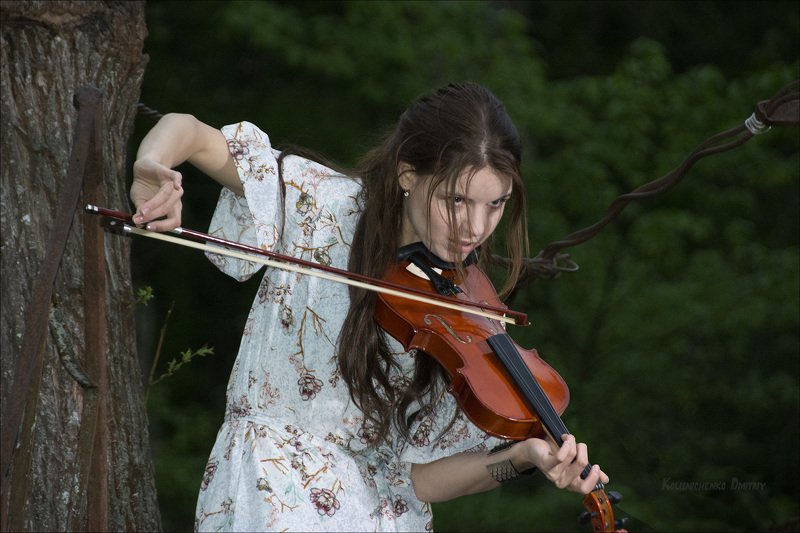 devil`s violinist, скрипач, лес, мост,   devil`s violinistphoto preview