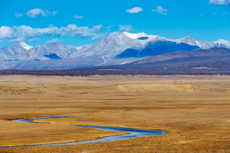 монголия, мунку-сардык, хубсугул, саяны, восточный саян Mönkh Saridagphoto preview