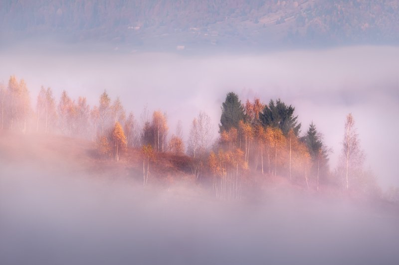 карпаты, туман, осень, рассвет Туманное Adagiophoto preview