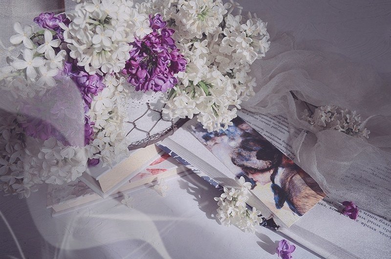 Весна сирень книга натюрморт радость любовь  Так хорошо... photo preview