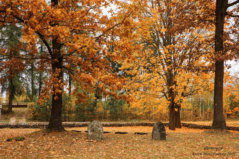 Два солдата photo preview