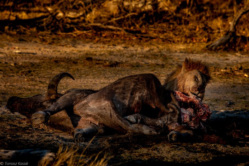 Breakfastphoto preview