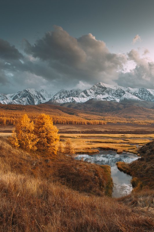 пейзаж, алтай, горы, небо, осень Вечерний Алтайphoto preview