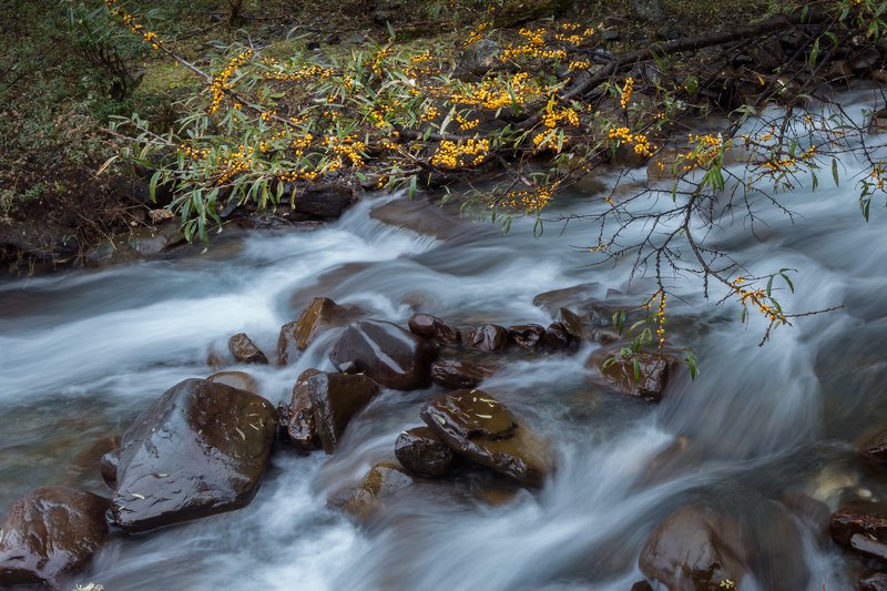 The stream of autumnphoto preview