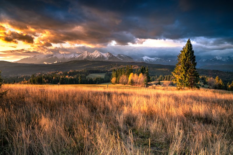 morning, tatras, landscape, mountains, rzepiska, poland, małopolska, spisz Morning at the Tatrasphoto preview