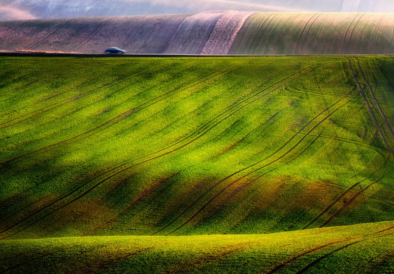 Golden hour catcherphoto preview