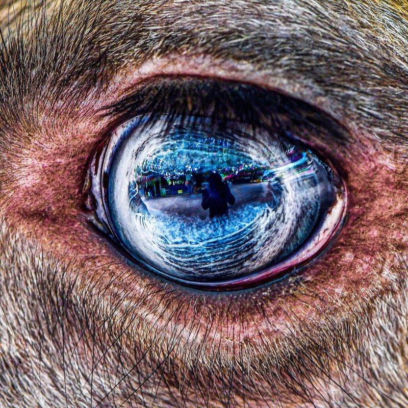 Im watching youphoto preview