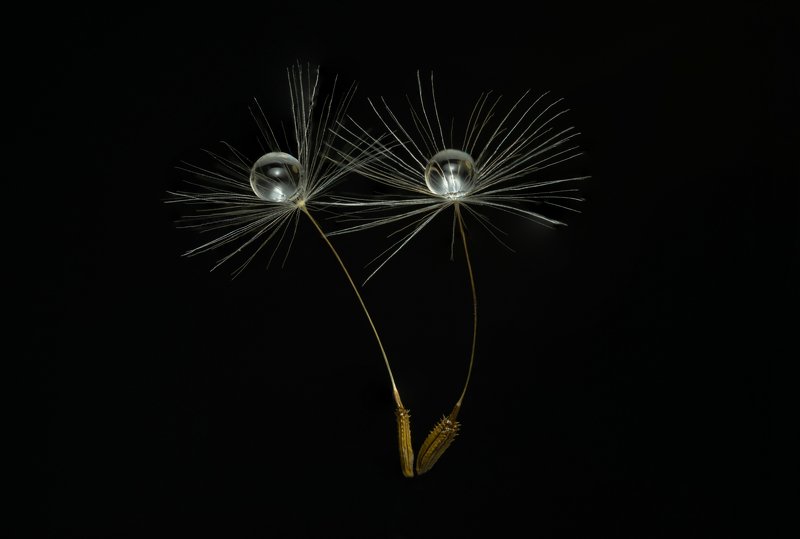 Парочкаphoto preview